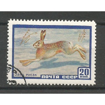 Почтовая марка СССР Заяц русак